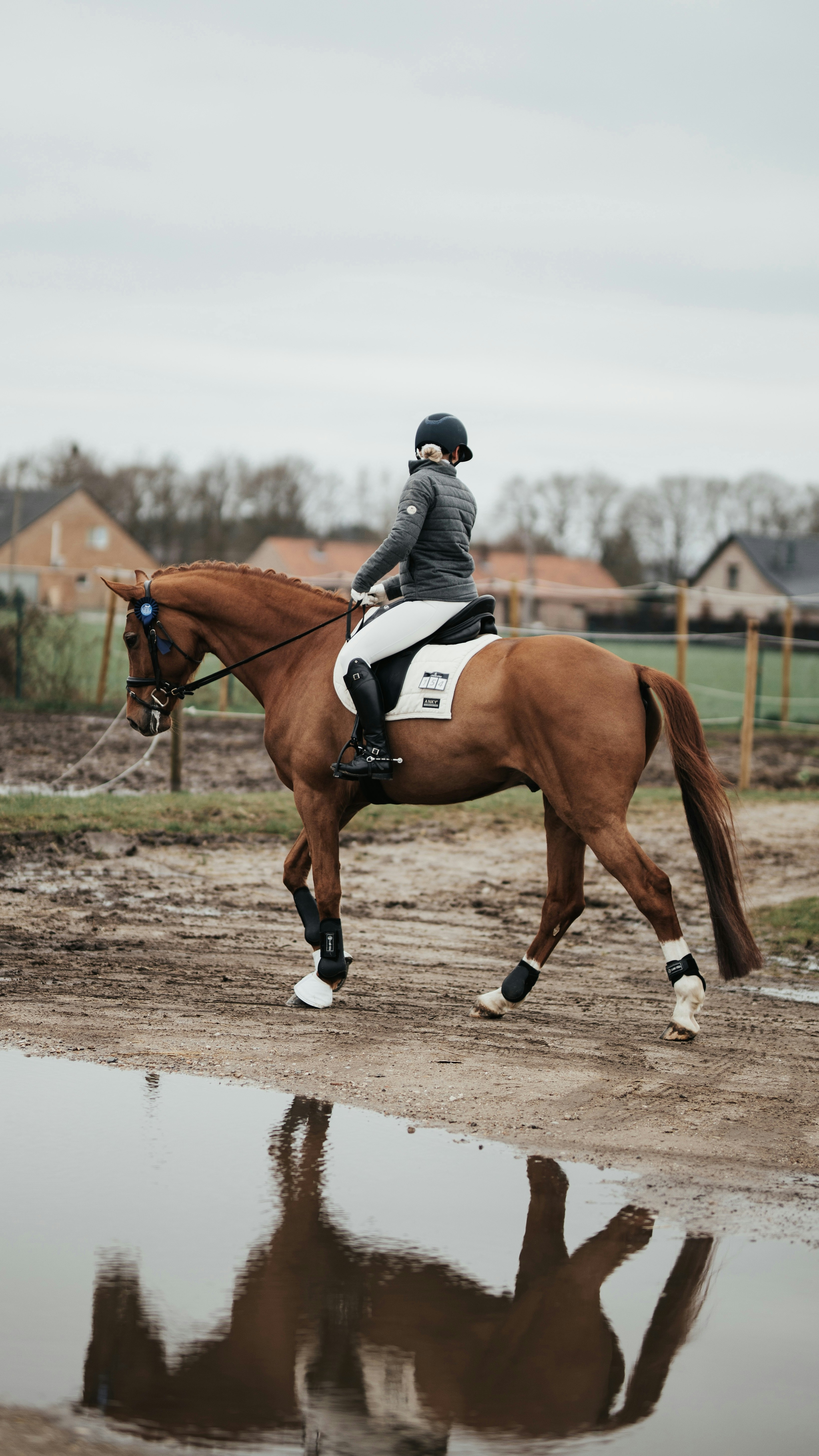 Photo by brechtdenil