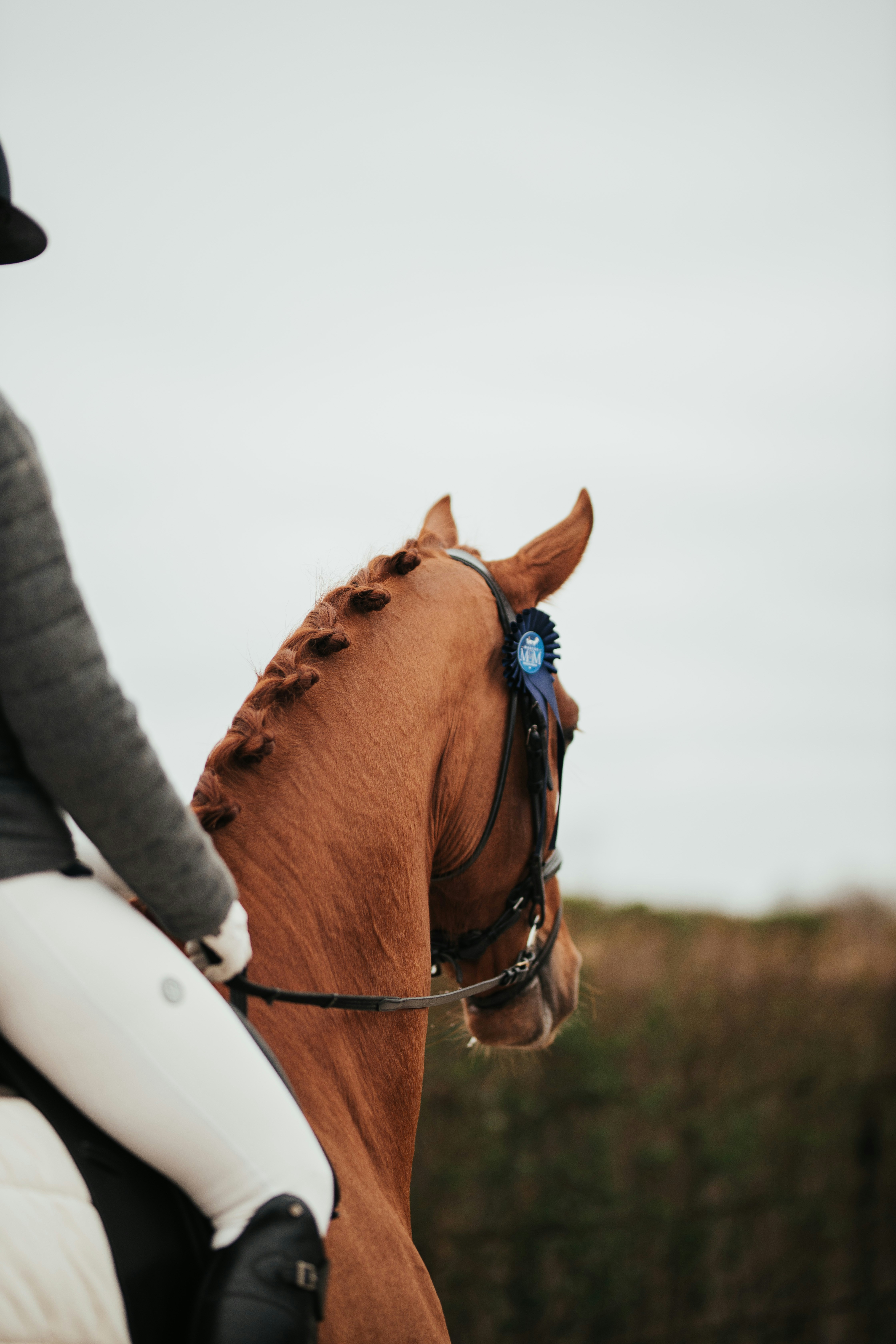 Photo by brechtdenil