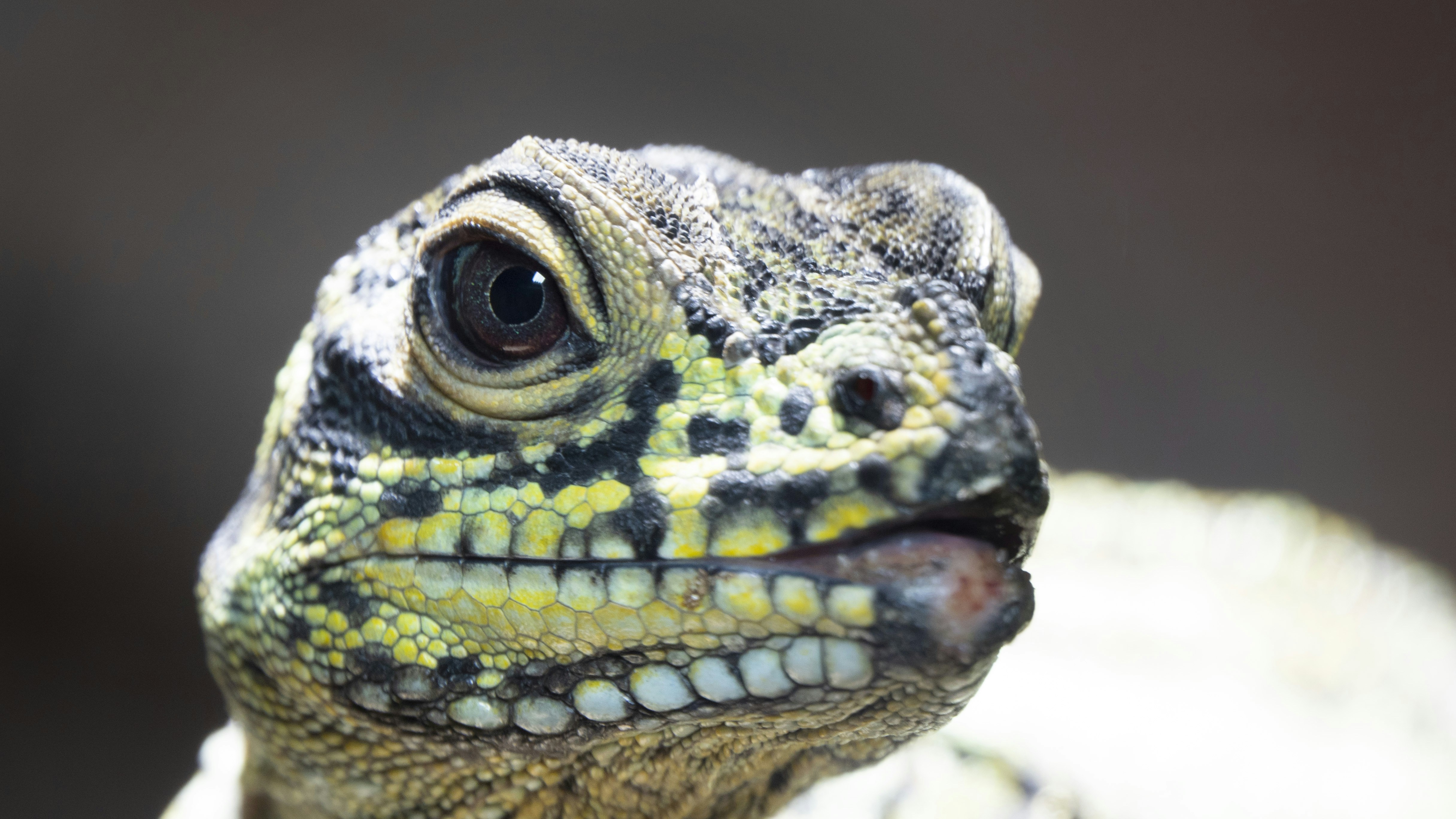 Photo by joseph90rcg