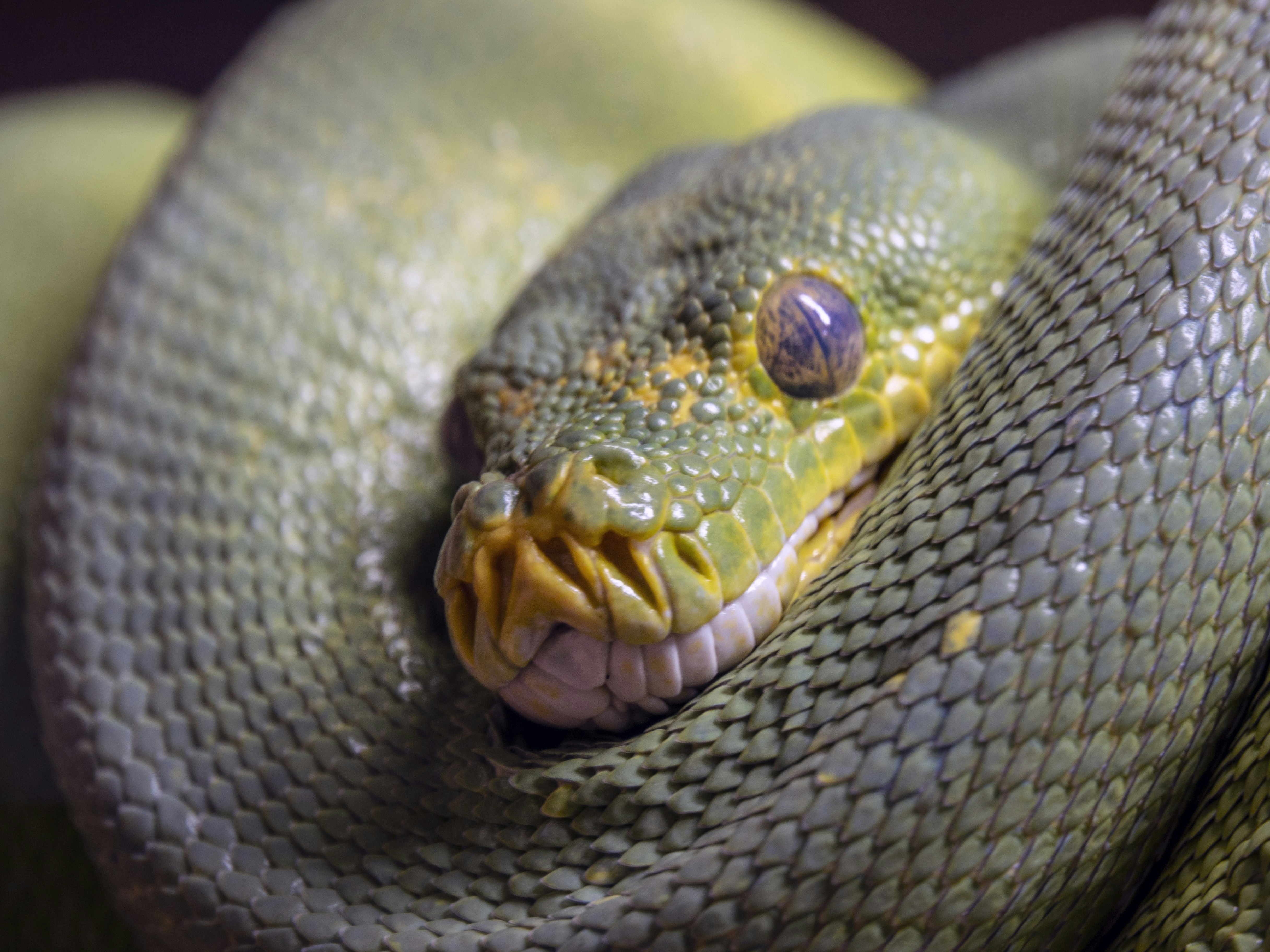 Photo by joseph90rcg