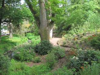A lush green garden with blooming flowers and a peaceful walking path.
