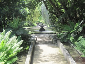 A peaceful garden path leading to a small, sparkling spring fountain surrounded by lanterns.