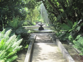 A peaceful garden path leading to a small, sparkling spring fountain surrounded by lanterns.