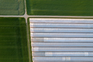 an aerial view of a green field and a white building