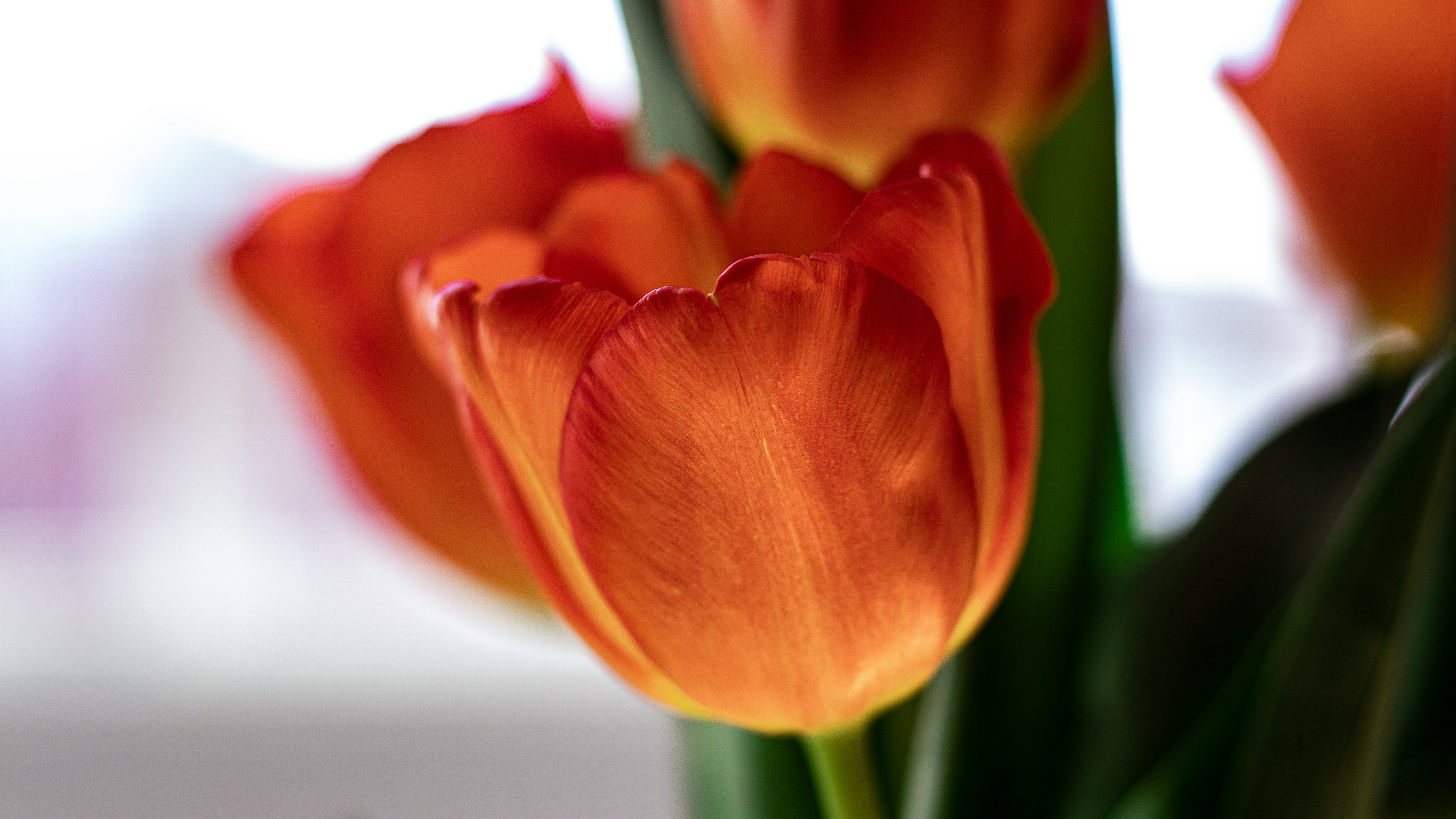 Photo by painchaud12