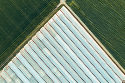 An aerial view of multiple greenhouses surrounded by green fields under a clear sky.