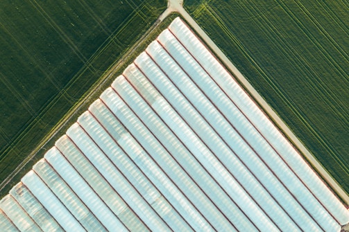 Aerial view of a large industrial greenhouse complex surrounded by green fields