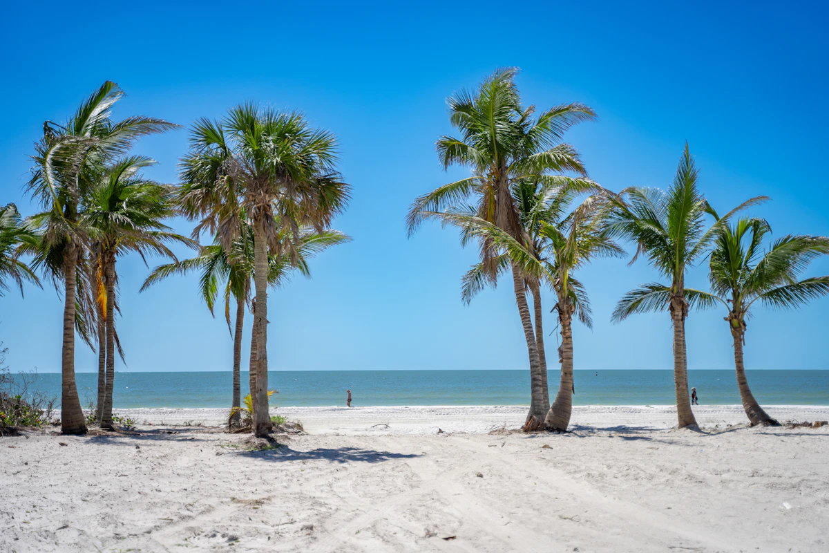 Florida Blue Medicare Plans for 2026: Regional Networks Explained