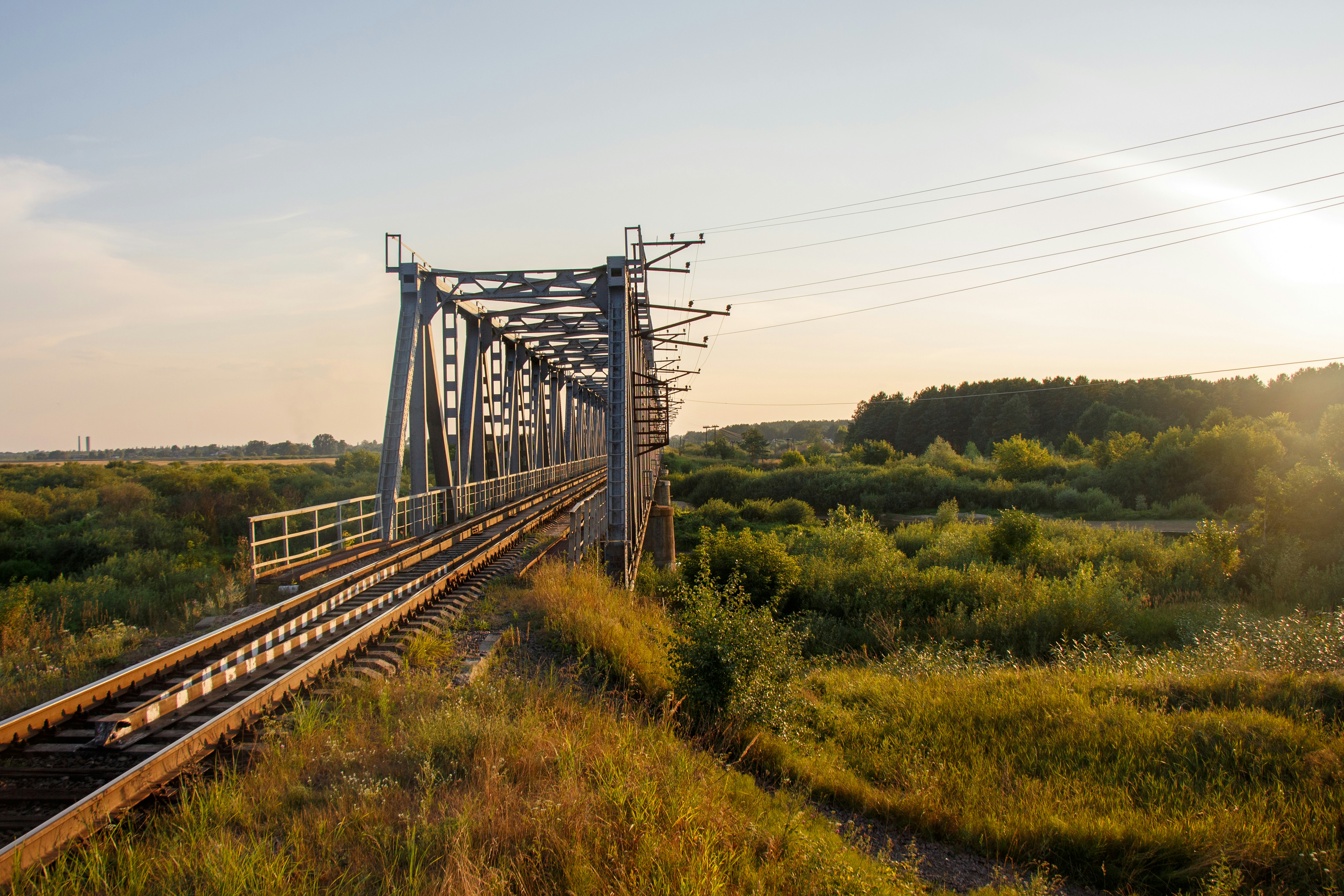 Photo by viktorsmoliak