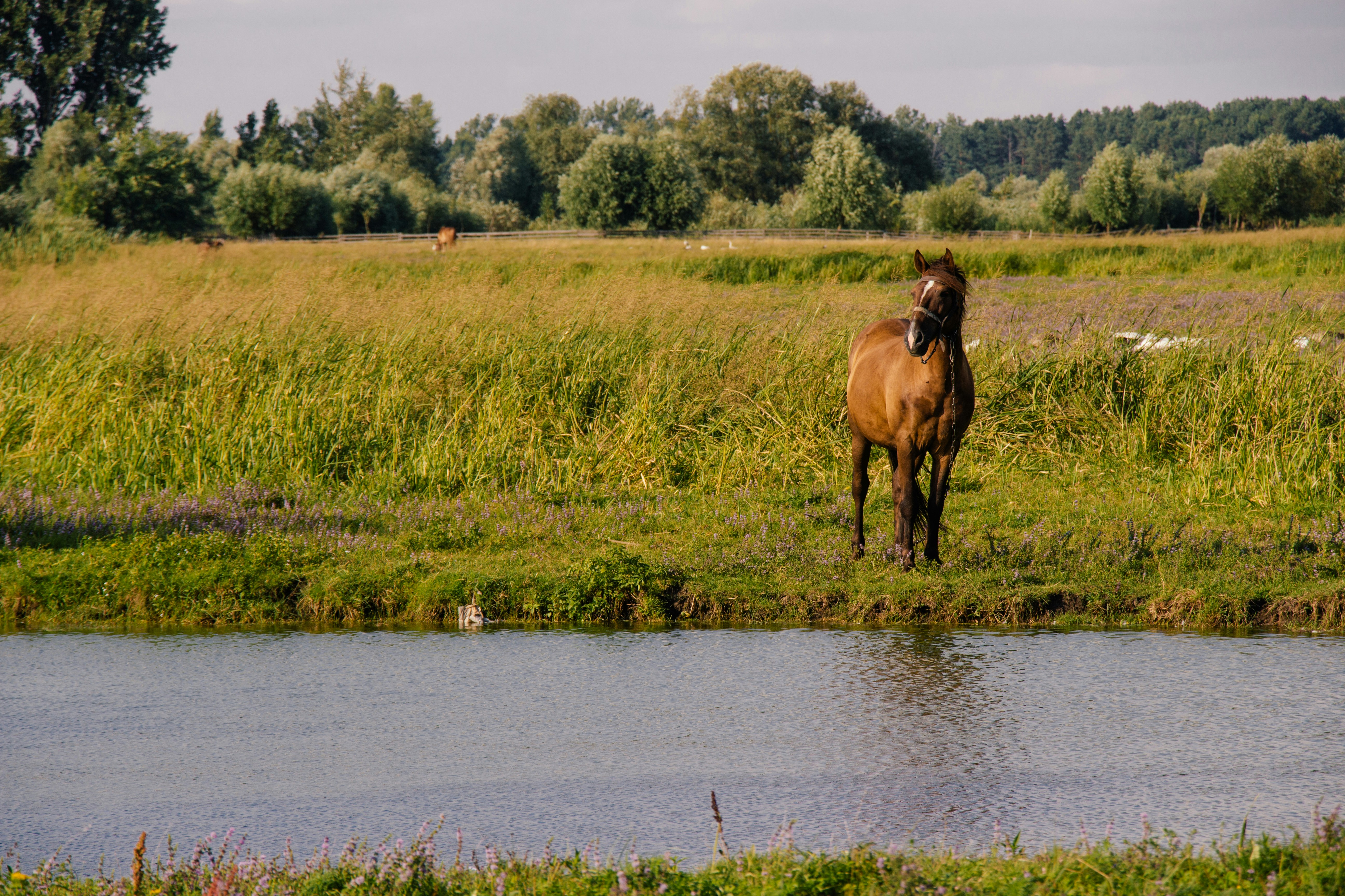 Photo by viktorsmoliak