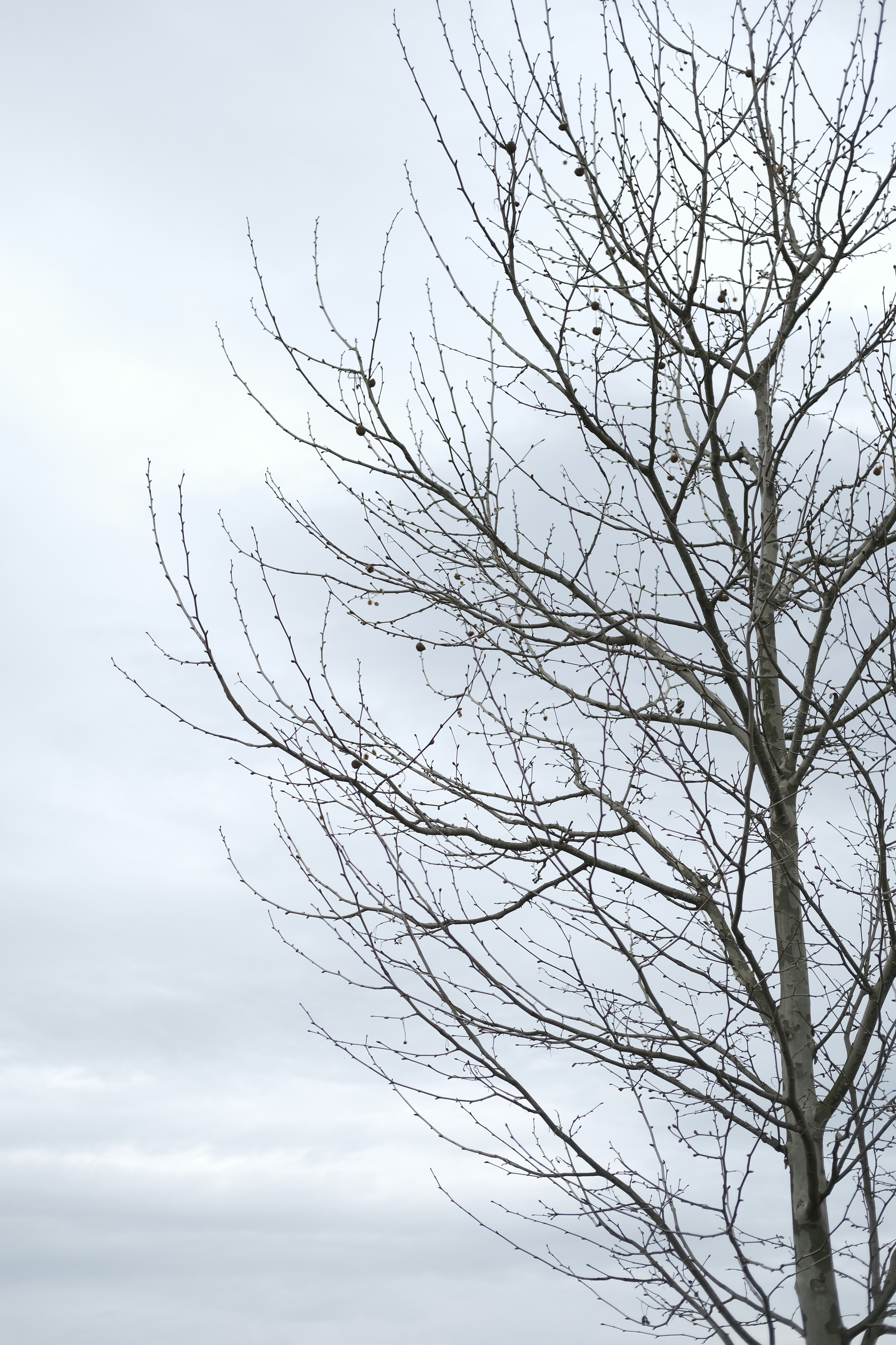 Photo by furkaneroglu28