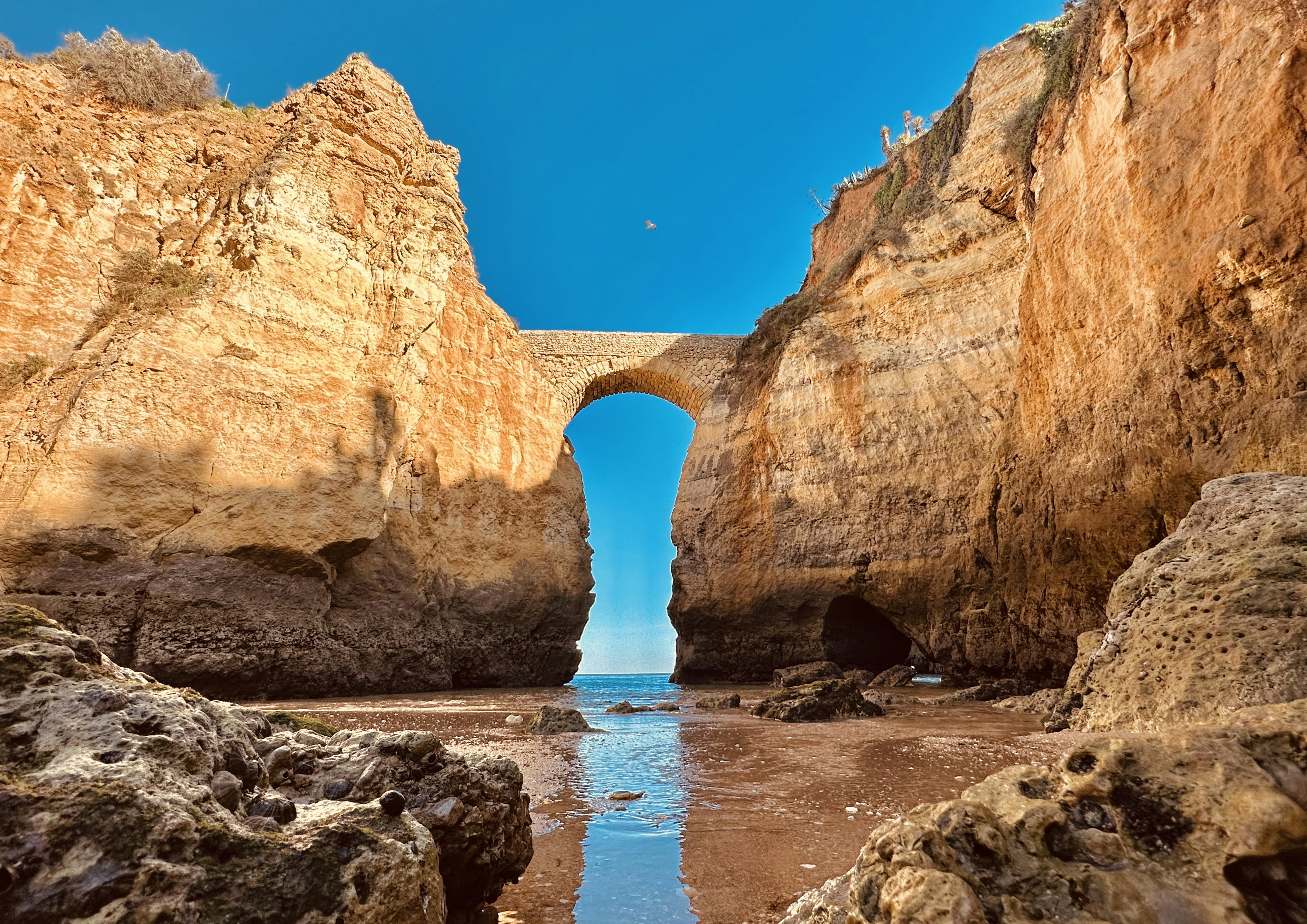 Photo by rodolfobarreto