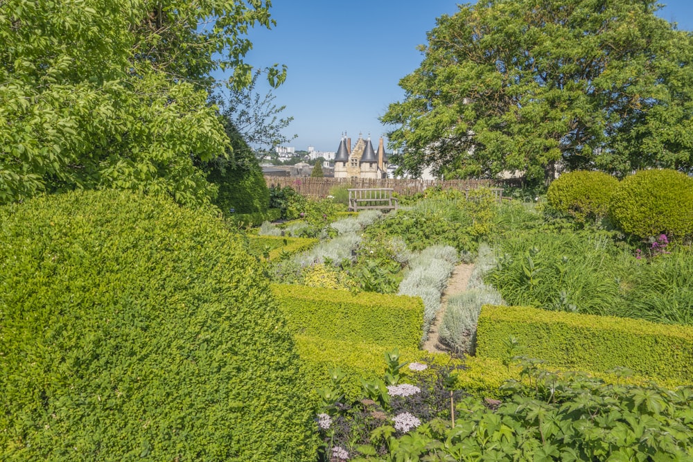 Un parco verde lussureggiante con molti alberi e cespugli