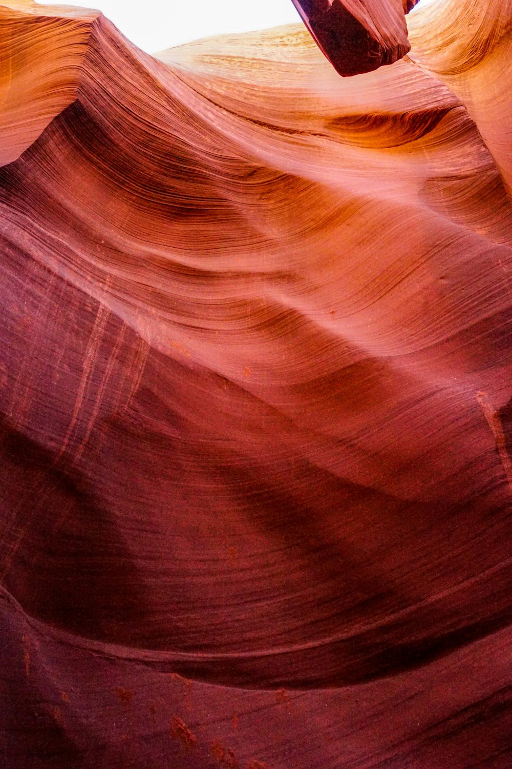 a man riding a skateboard through a canyon