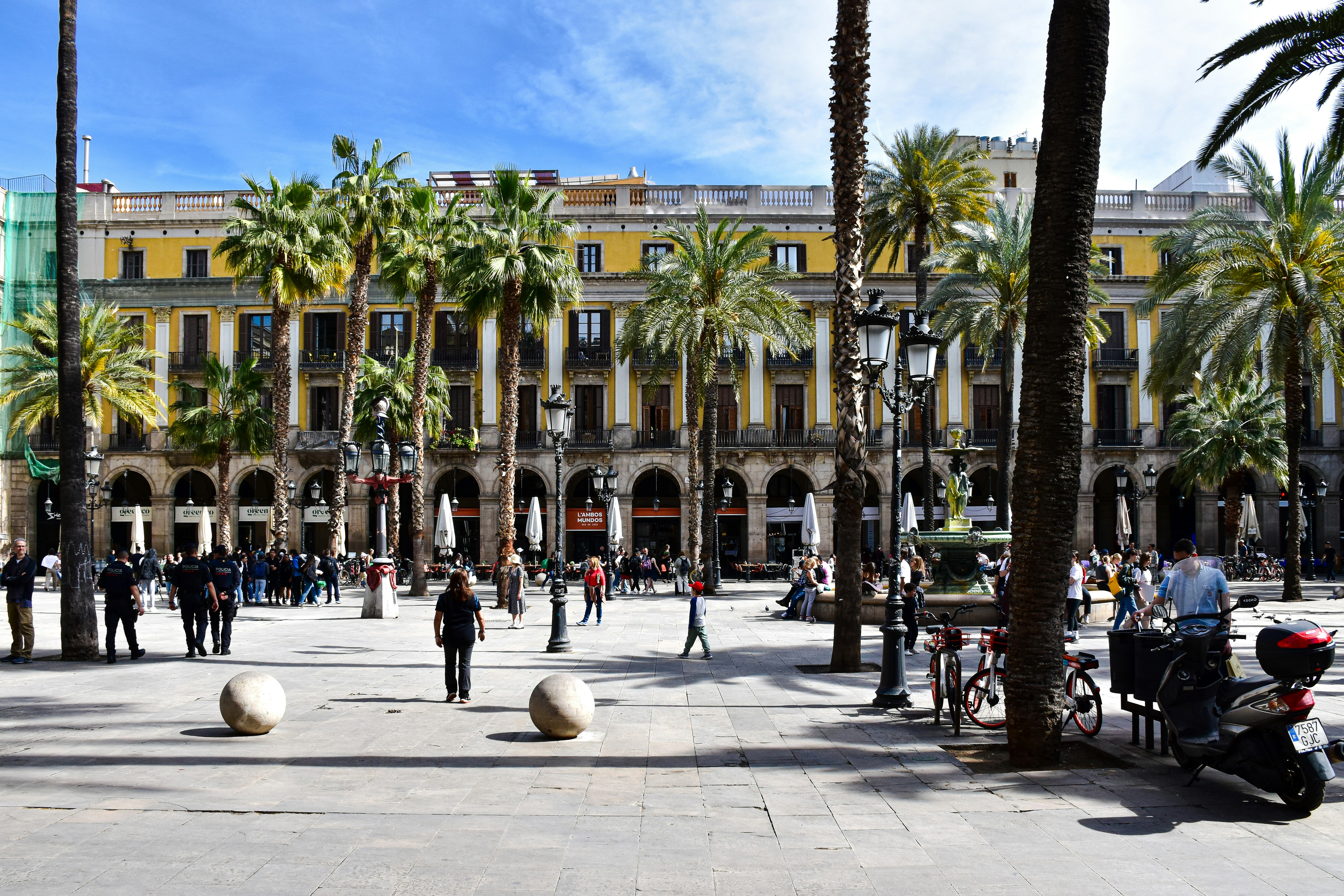 Signed soccer jerseys 24-25