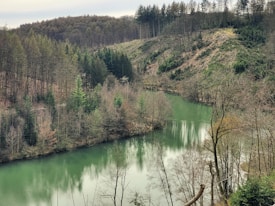 A serene, forested landscape features a calm, green-hued lake surrounded by dense woods. The trees, in varying shades of green and brown, cover the hillsides, creating a tranquil, natural setting.
