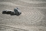 A peaceful zen garden with stones and delicate plants.