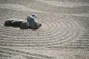 A peaceful zen garden with stones and delicate plants.