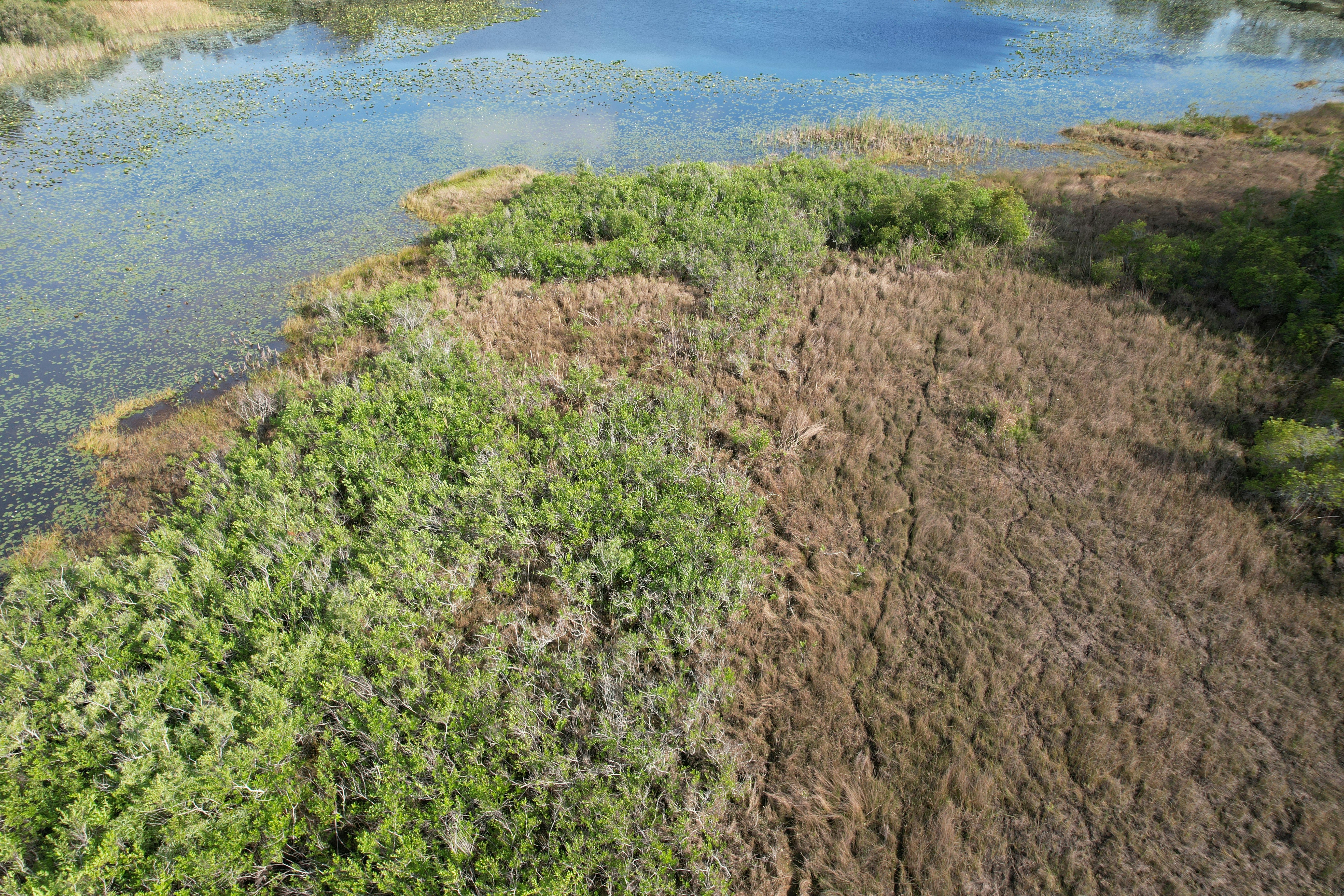 a large body of water surrounded by trees