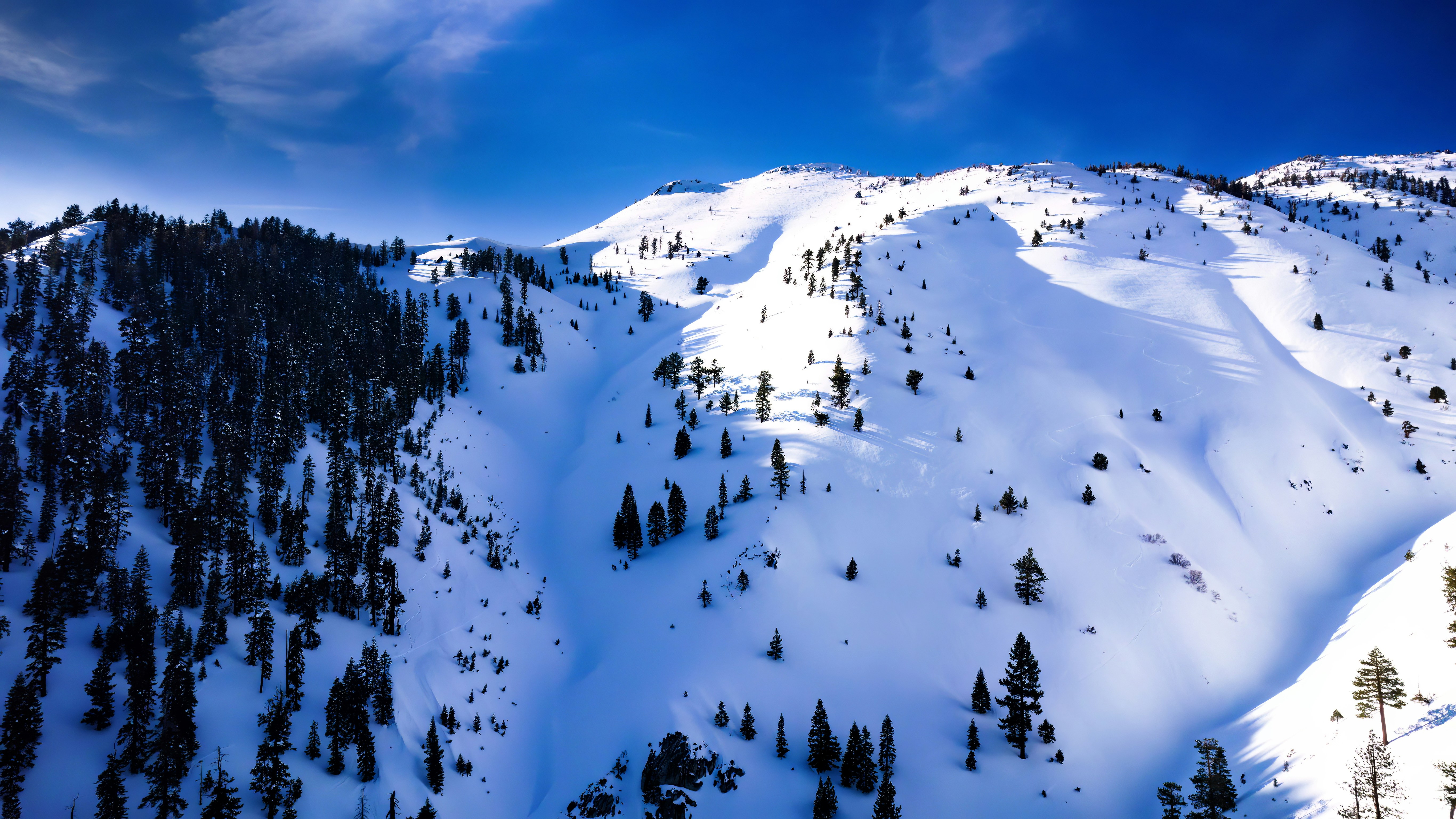 a mountain covered in snow and trees under a blue sky