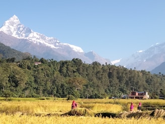 Scenic Afghan landscape symbolizing PGI’s commitment to local impact