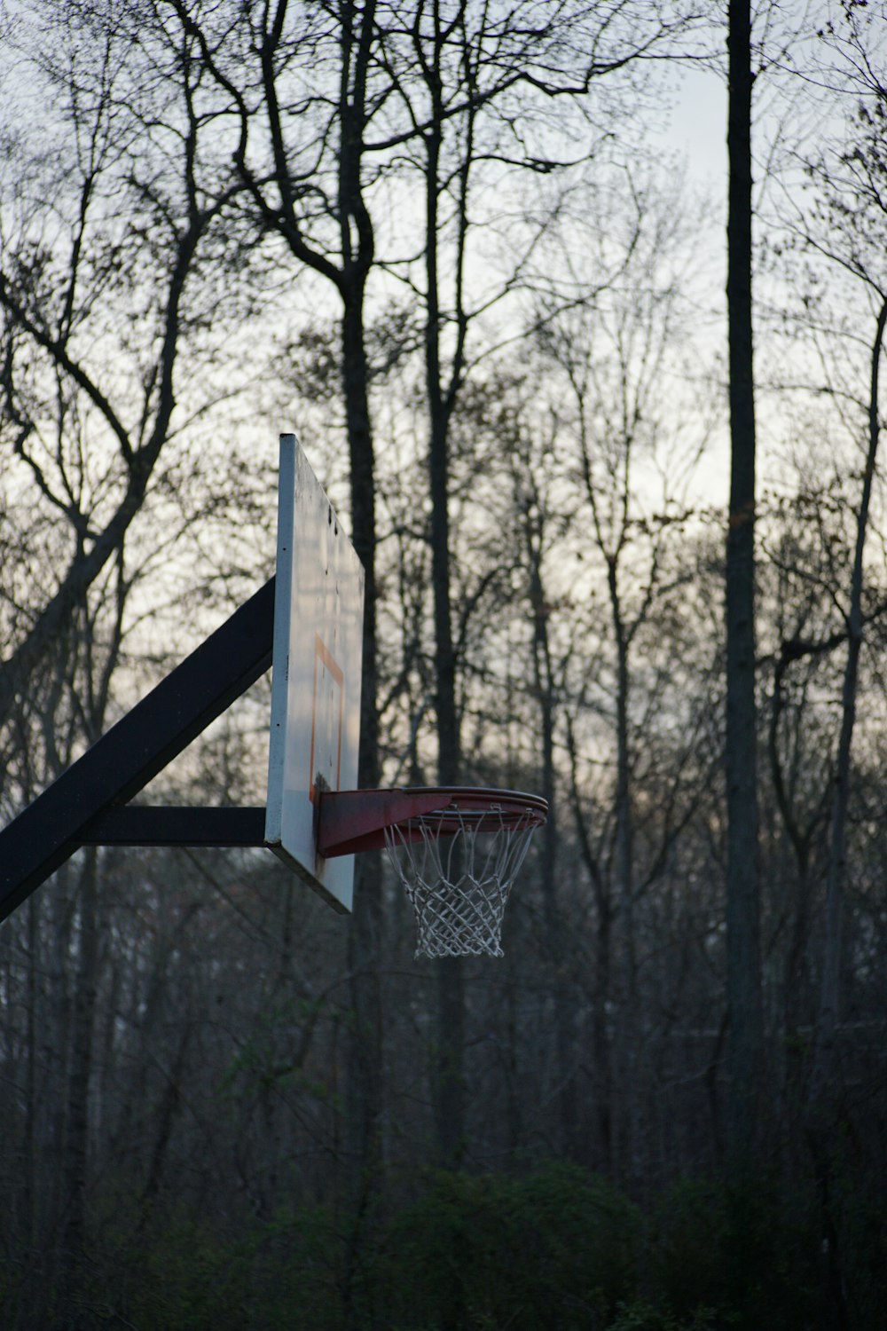 a basketball hoop in a wooded area with trees in the background