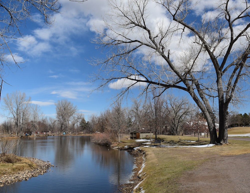 Un río que atraviesa un parque junto a un exuberante campo verde