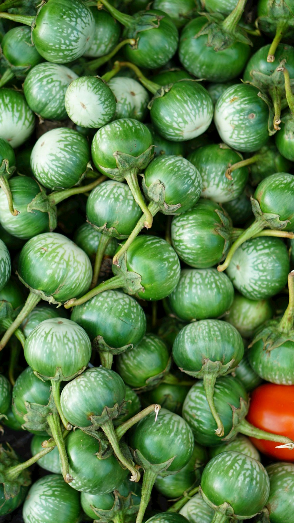 a pile of green tomatoes and a red pepper