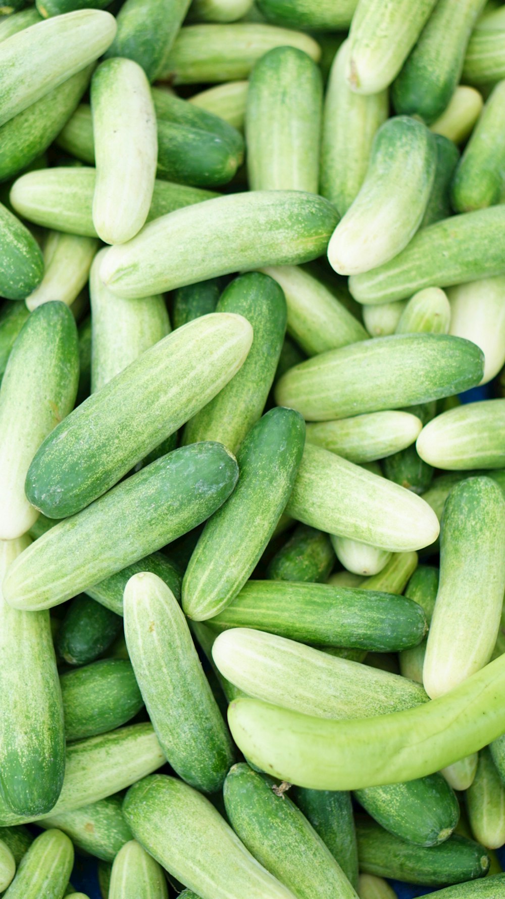 a pile of cucumbers sitting next to each other