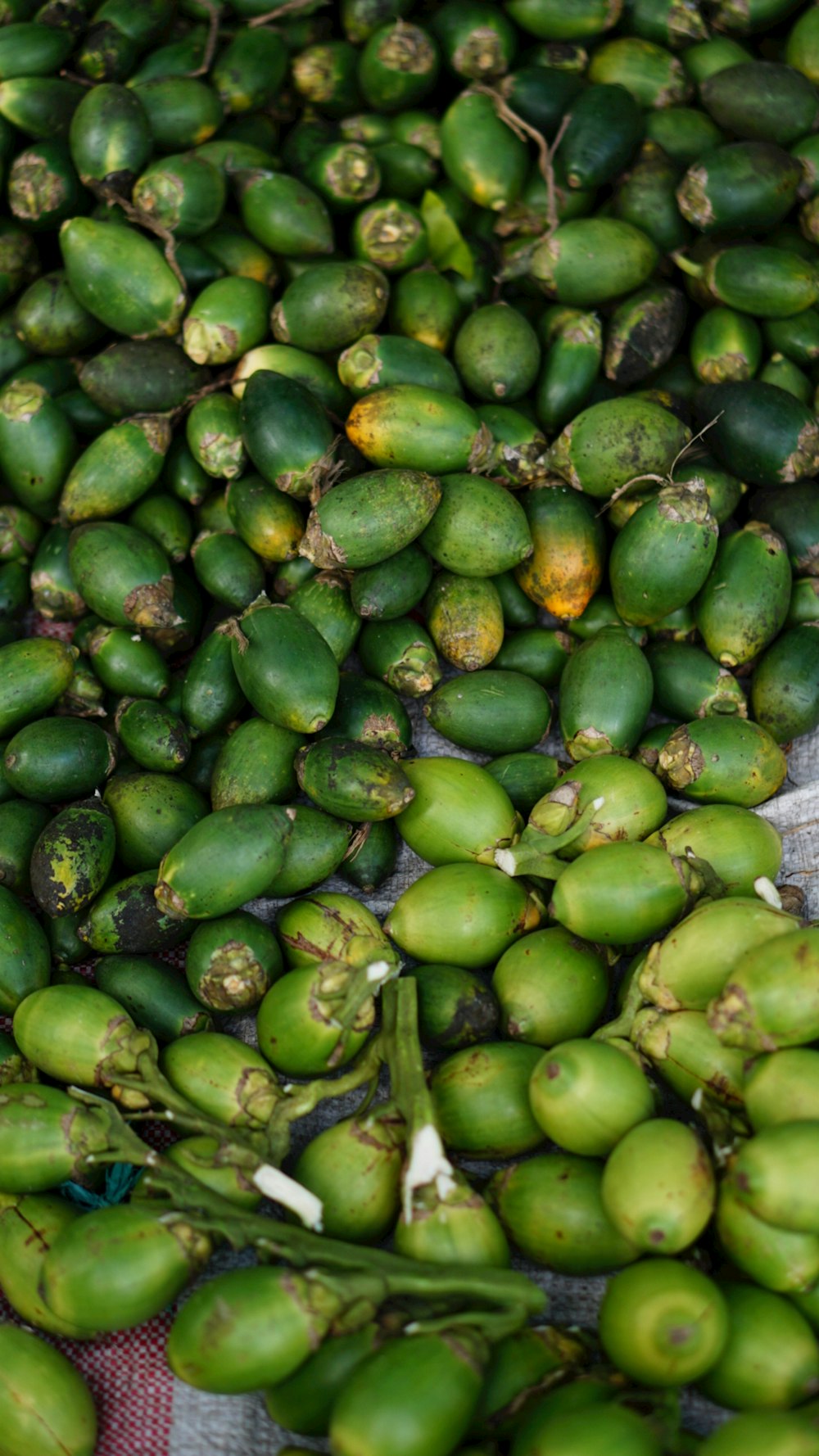 a pile of green fruit sitting on top of a table