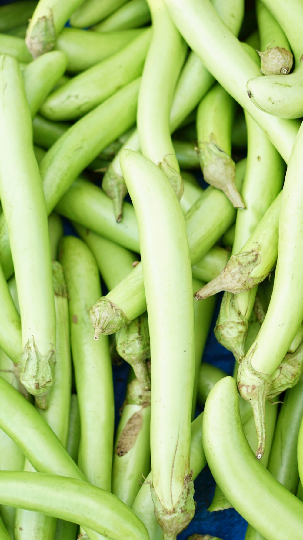 a pile of green beans sitting next to each other