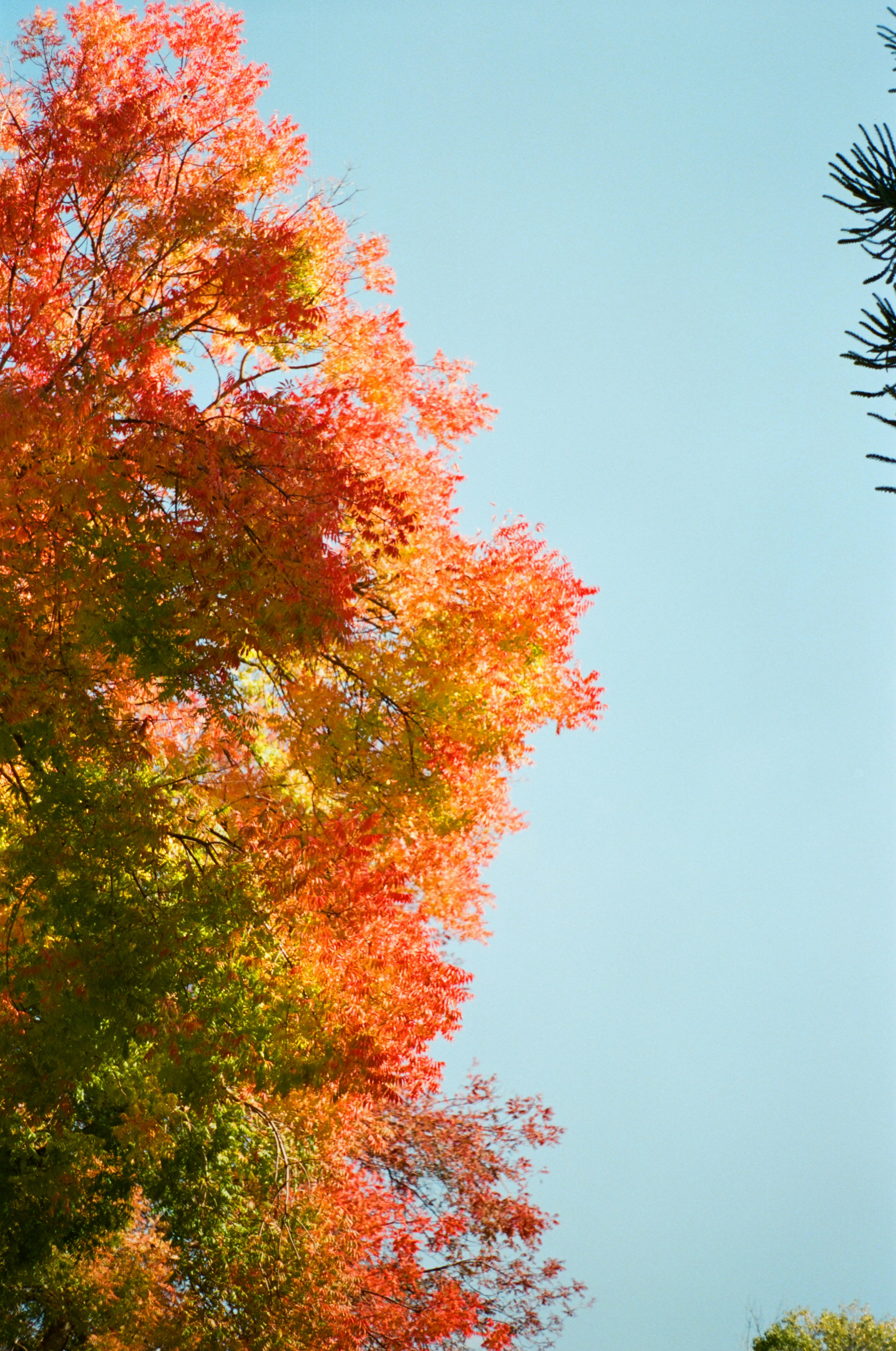 Photo by zzplz