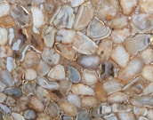 A close-up view of polished agate slices with various shades of brown, beige, and white. The textures are smooth and glossy, showcasing natural patterns and striations within each slice.