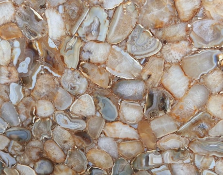 Close-up of polished agate beads nestled inside a delicate shell container on a beige background.