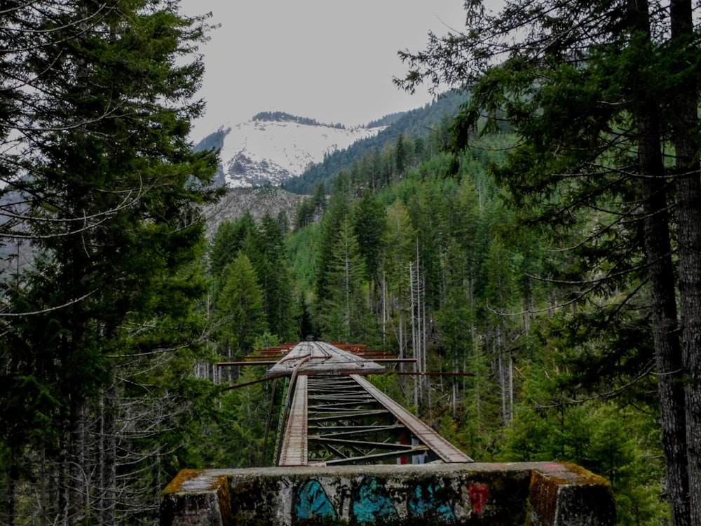 Un puente en medio de un bosque con una montaña al fondo