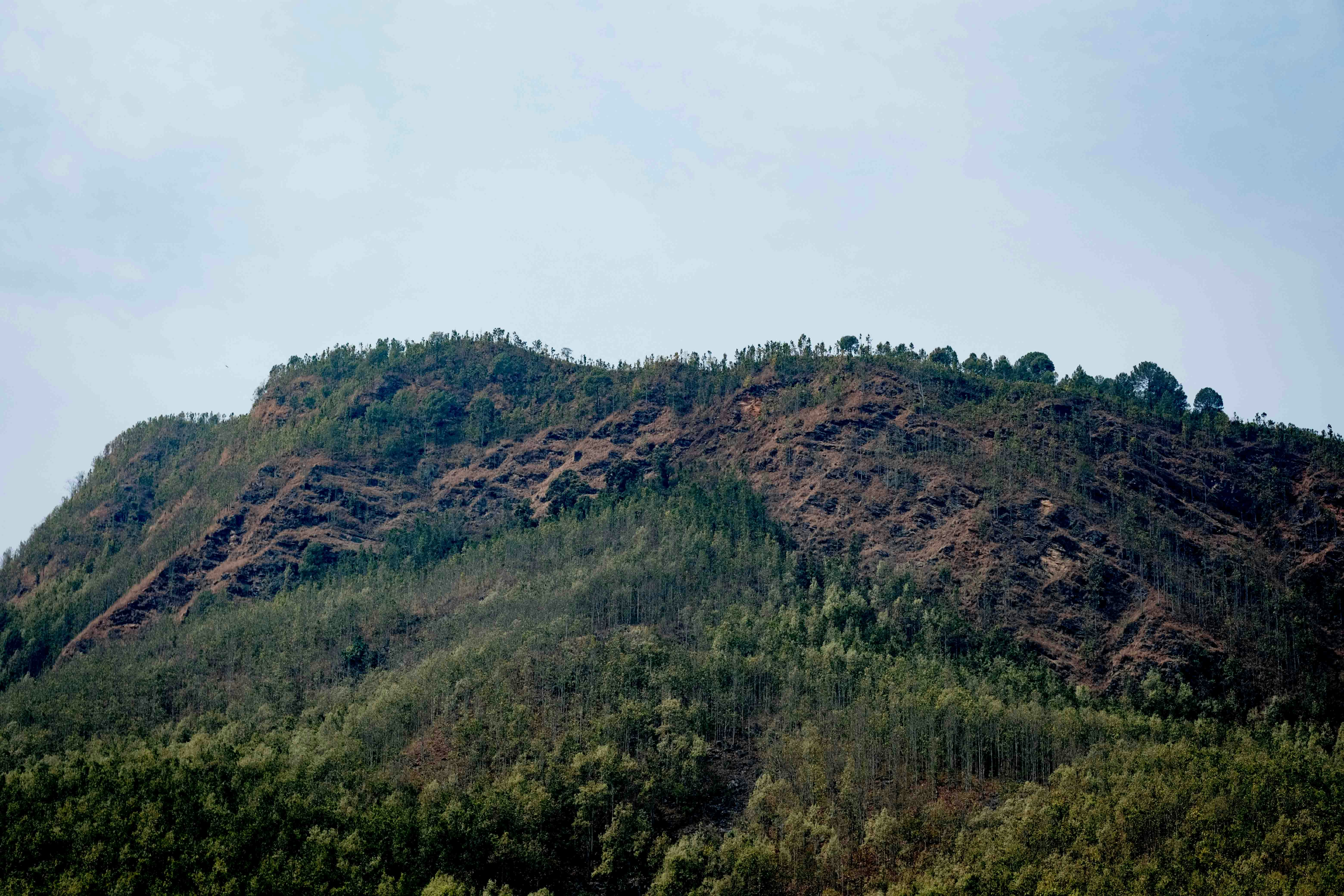 झारखंड के किसी गांव में हाथियों द्वारा किए गए नुकसान को दिखाती एक विचलित करने वाली तस्वीर। क्षतिग्रस्त घरों और भयभीत ग्रामीणों को देखा जा सकता है।