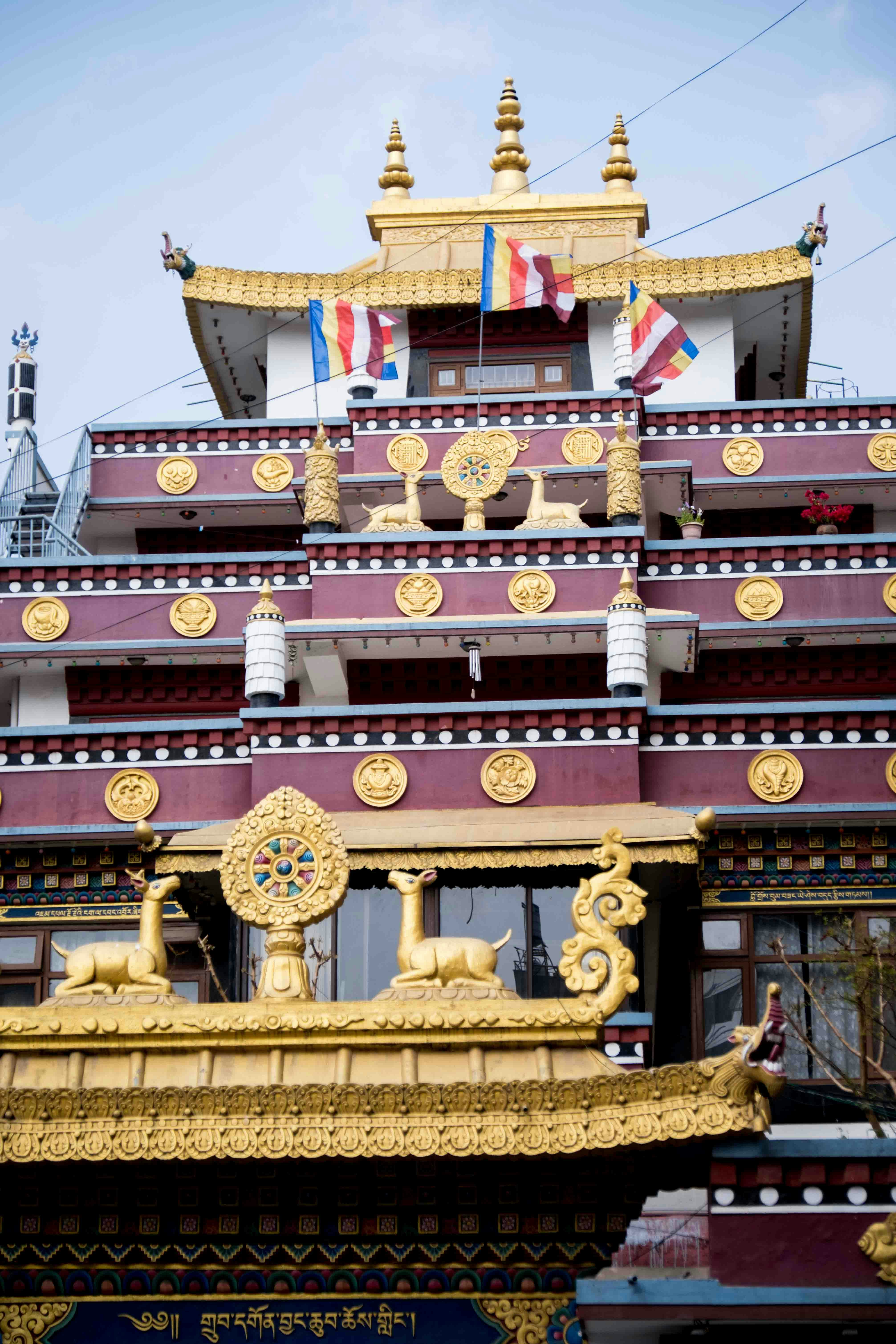 Photo by dropfastcollective