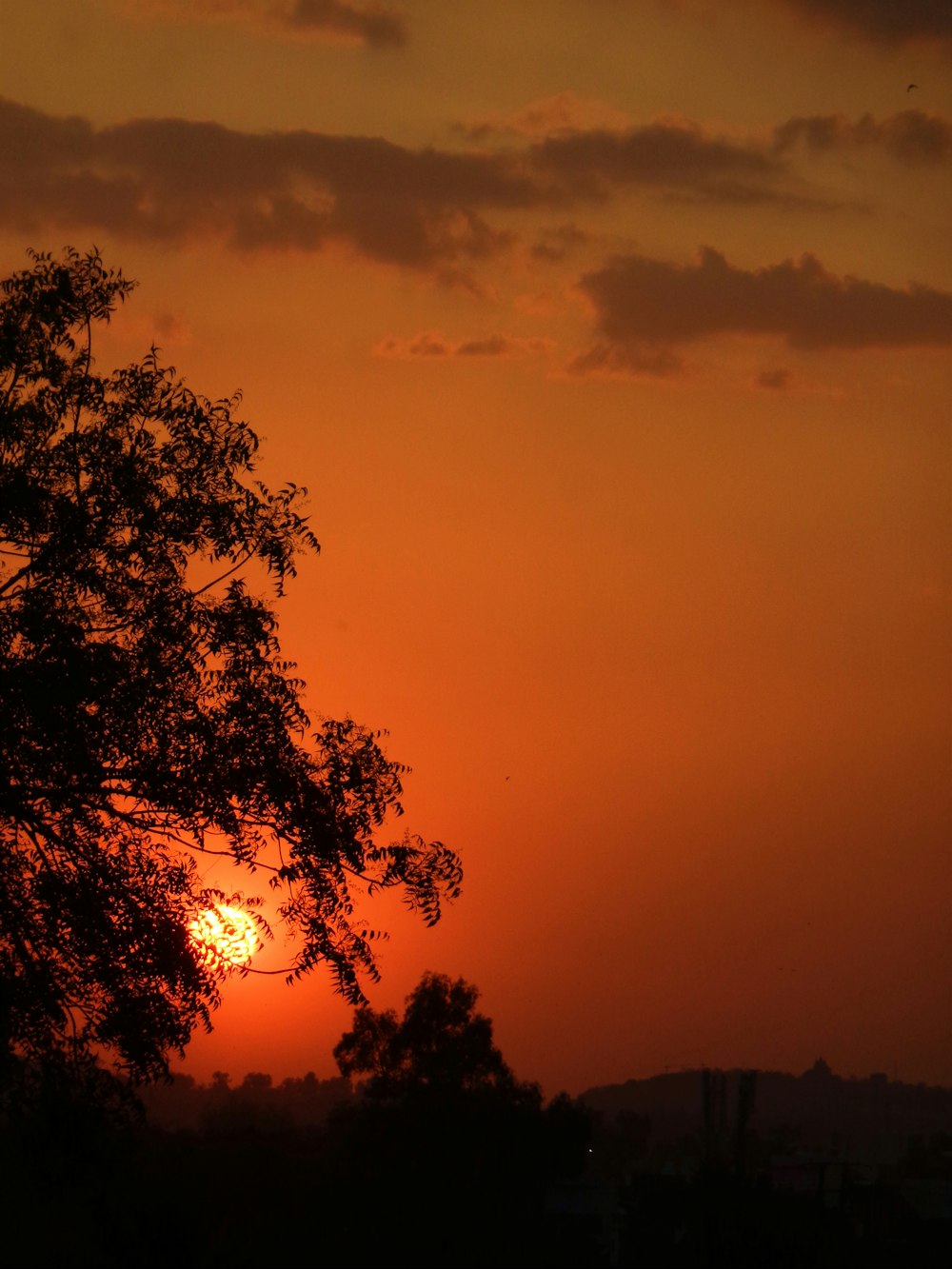 the sun is setting behind a tree in the distance