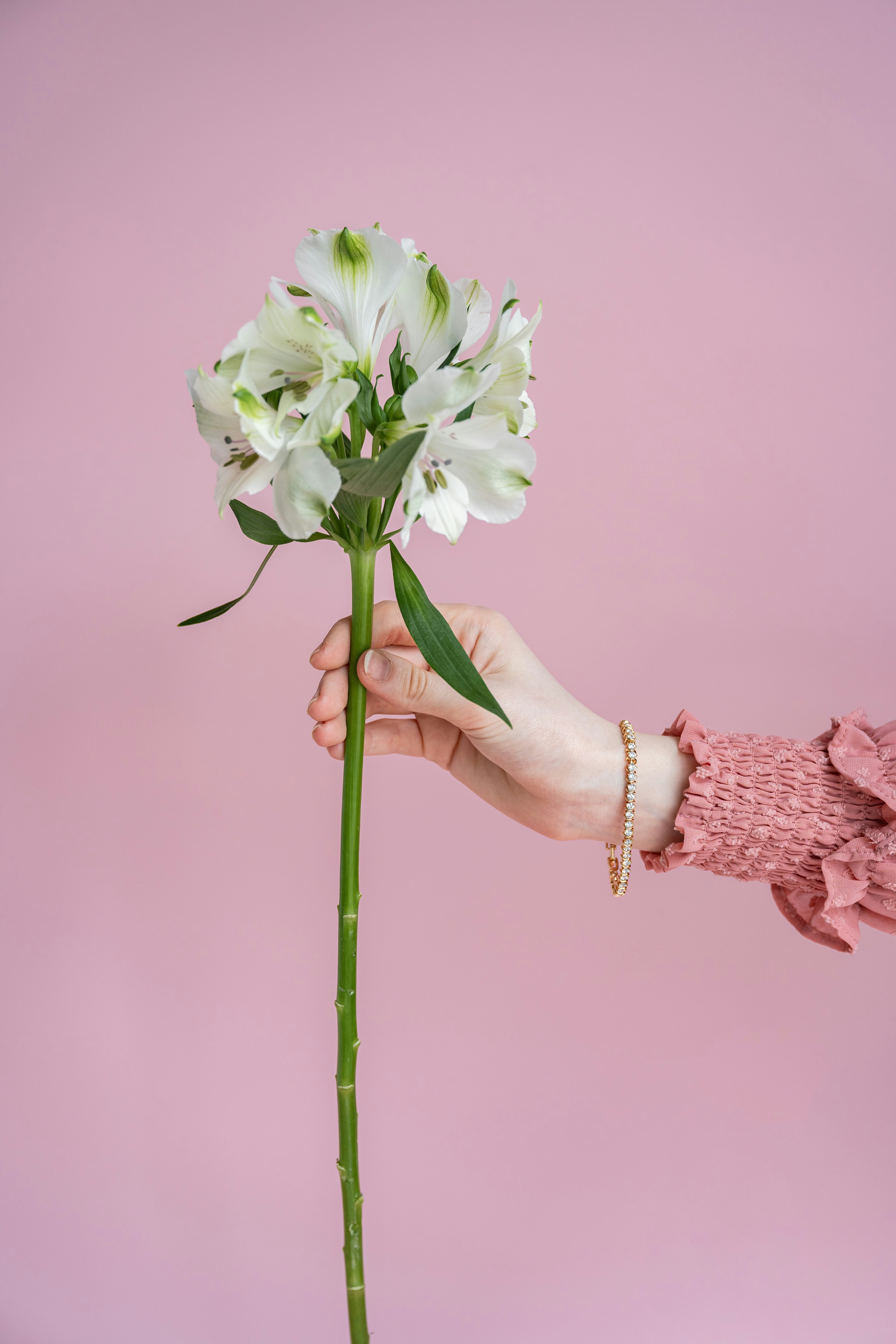 Photo by anitaaustvika