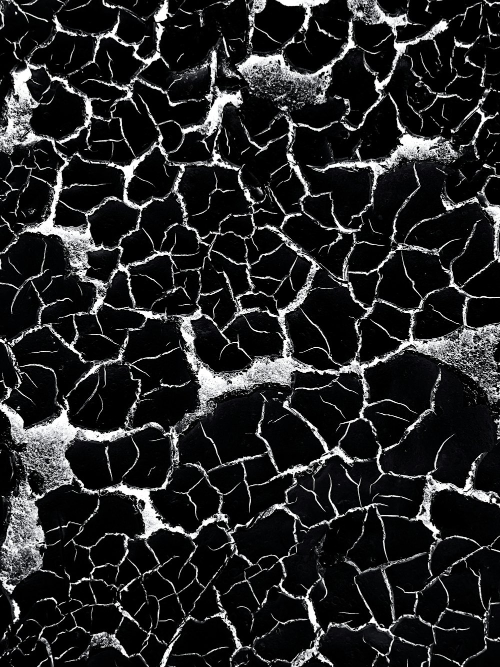 a black and white photo of a cracked surface