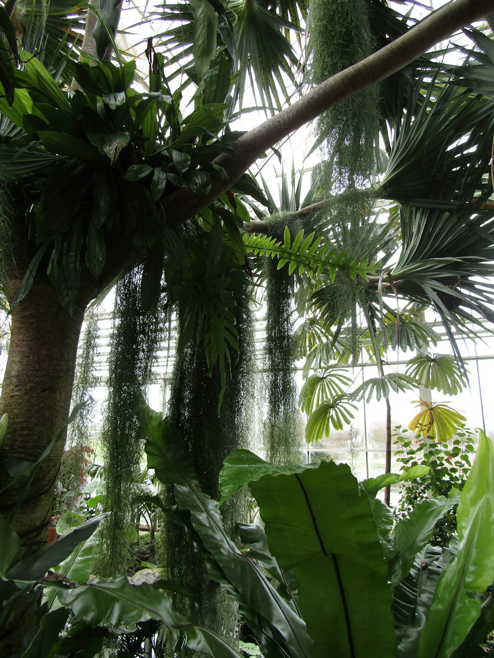 a green house with lots of plants inside of it