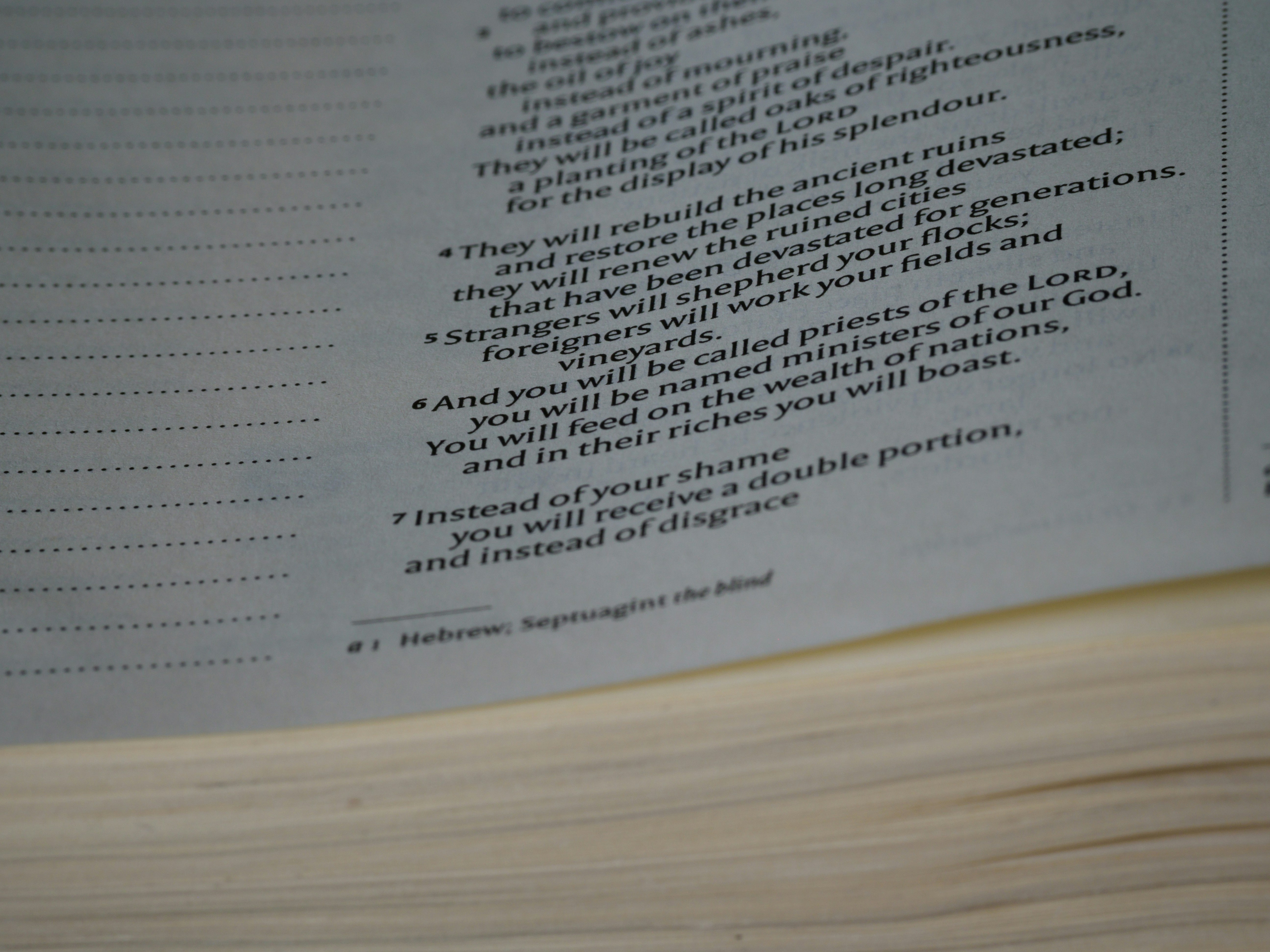 Photo by brett_jordan