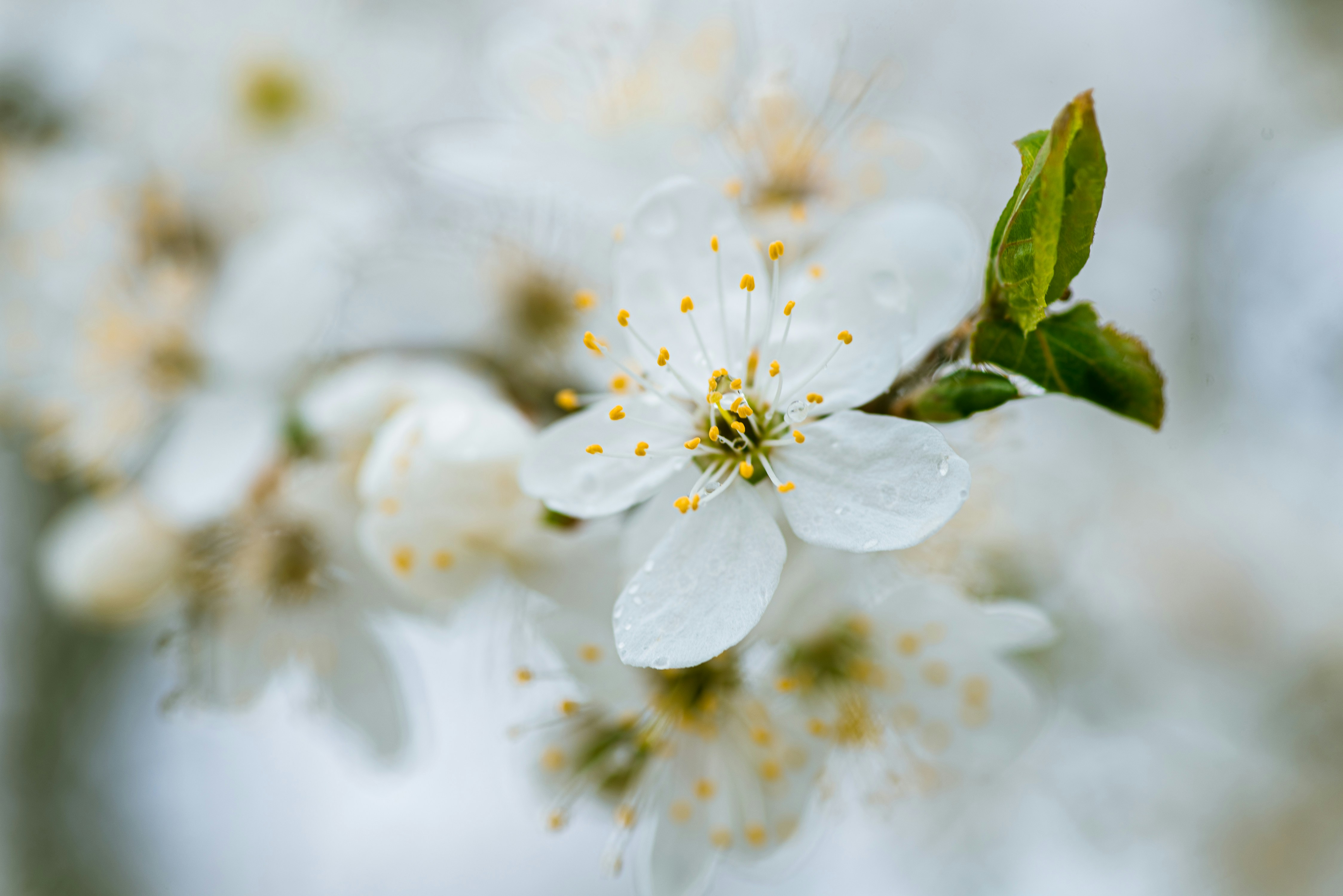 Photo by anastazjakp