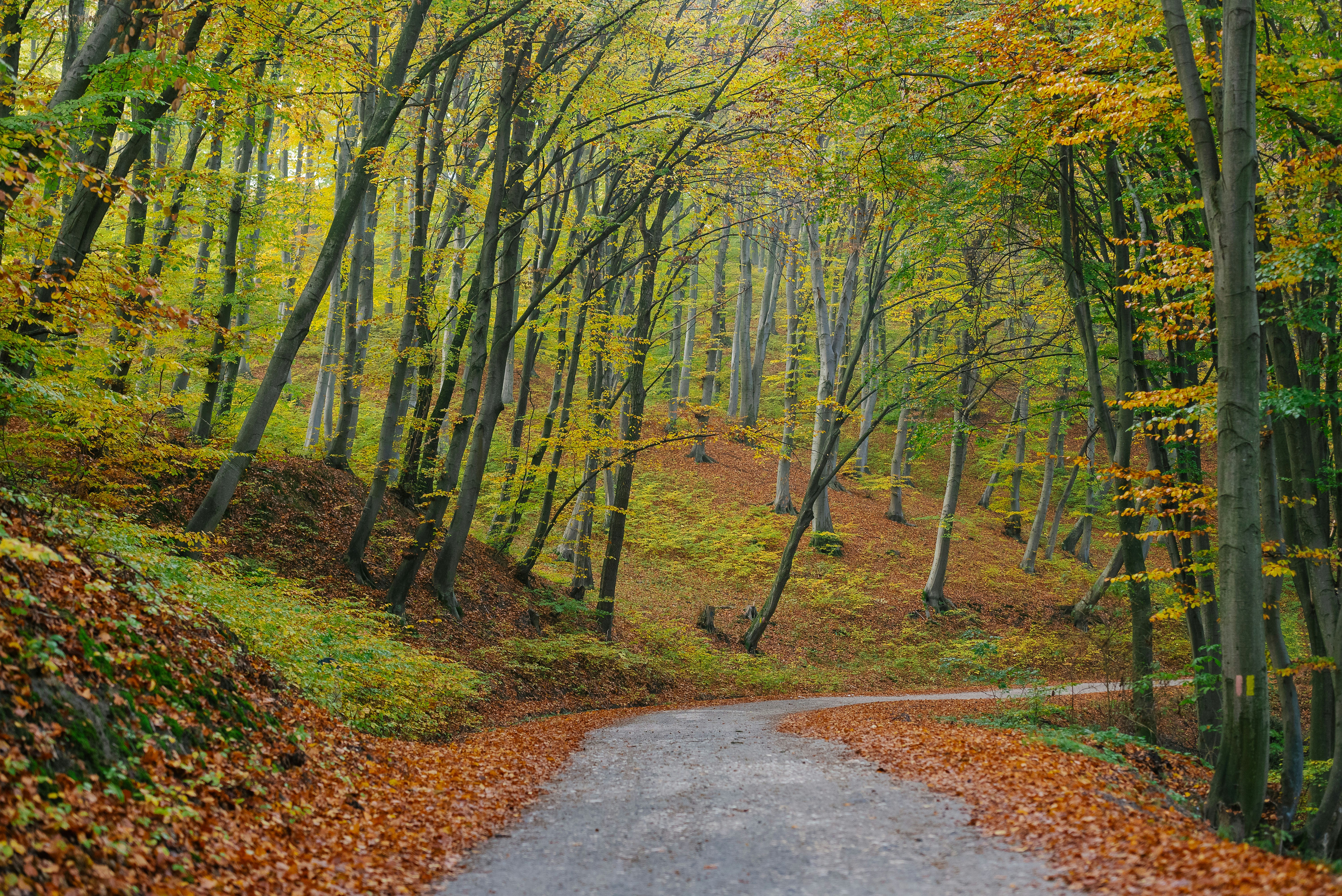 Photo by theparisphotographer