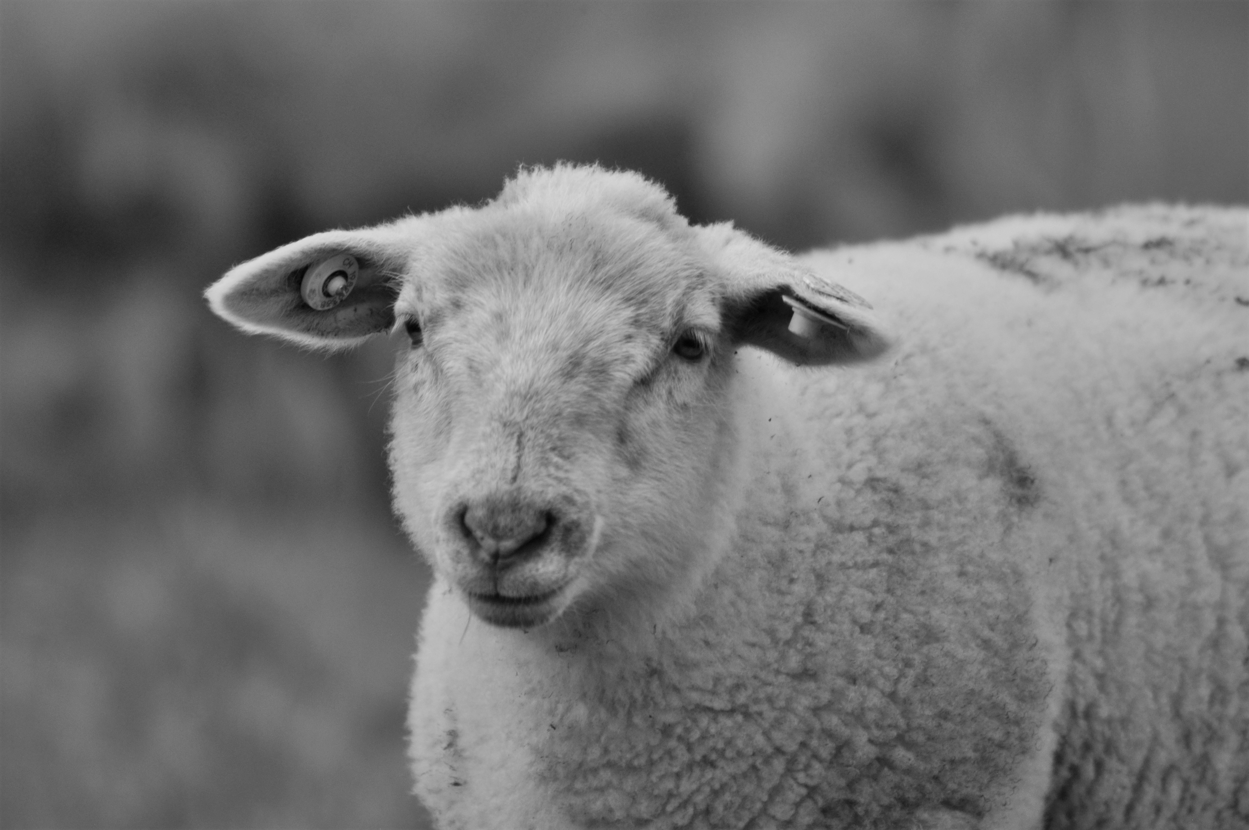 Photo by saskiakothleitner