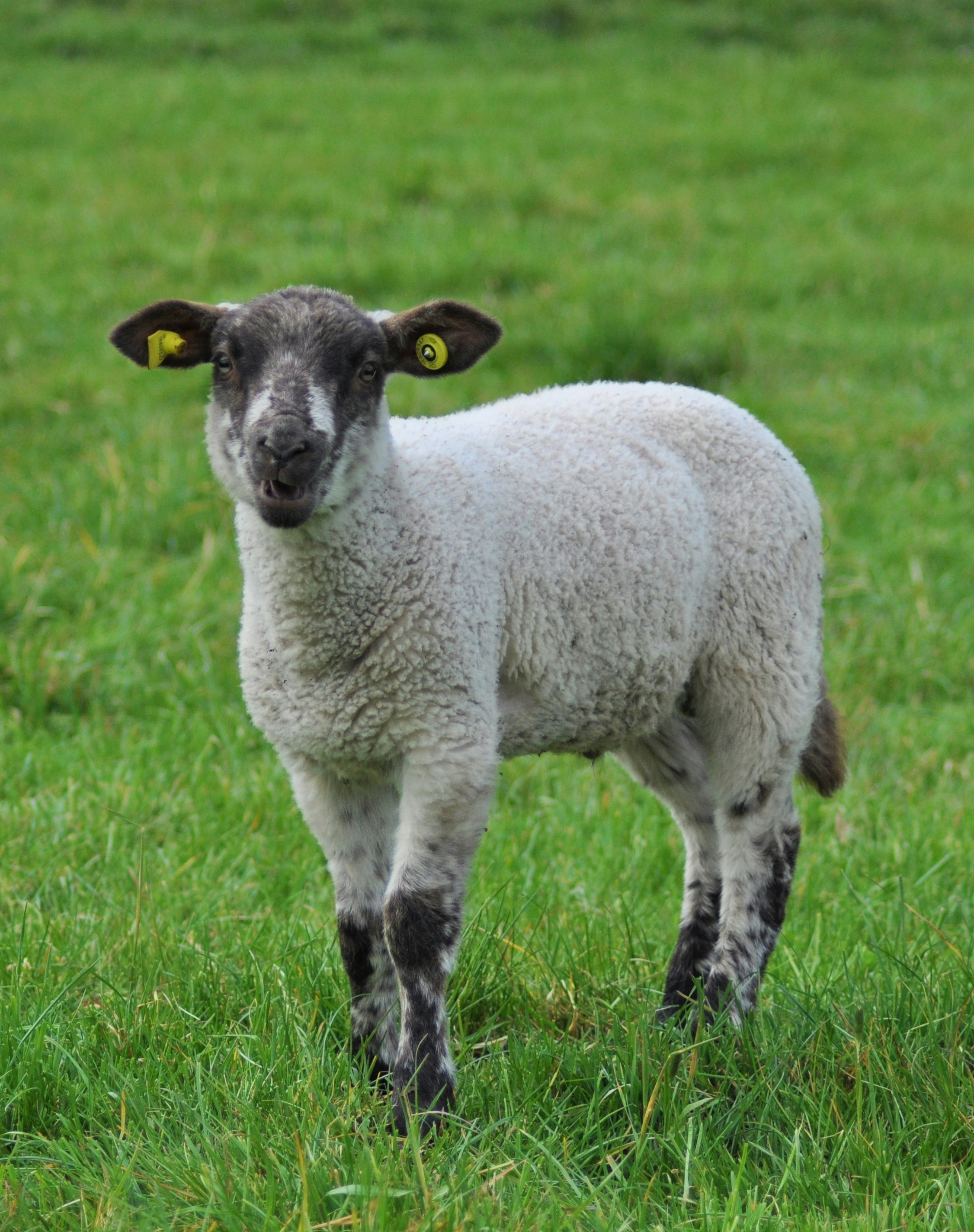 Photo by saskiakothleitner