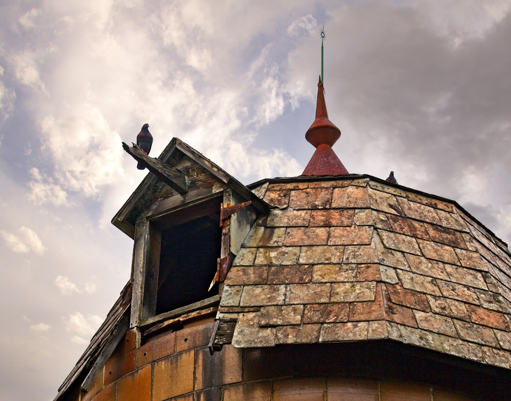 two birds are perched on the roof of a building