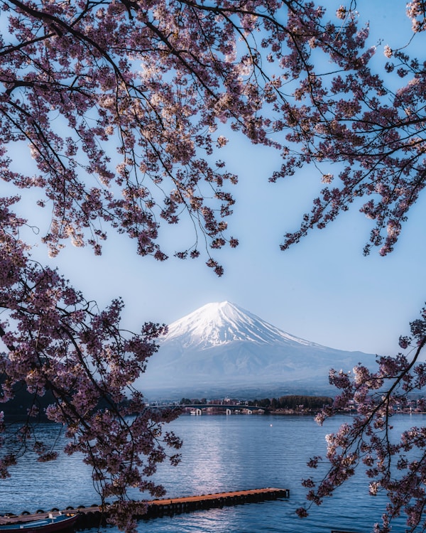 Yamanashi: Discover Local Culture & Traditions