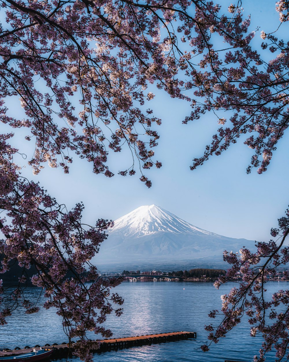 a view of a mountain and a body of water