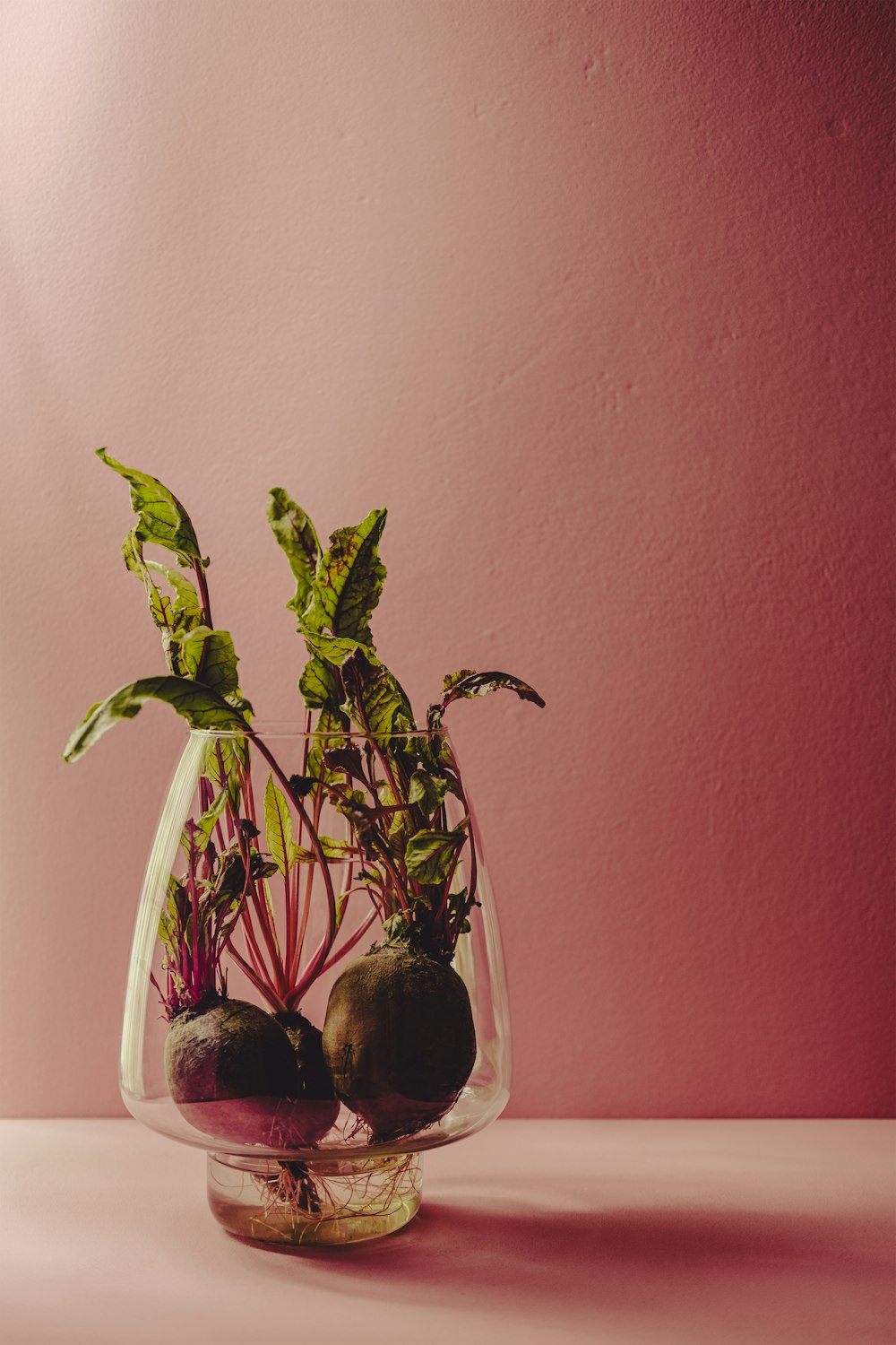 a vase filled with plants on top of a table